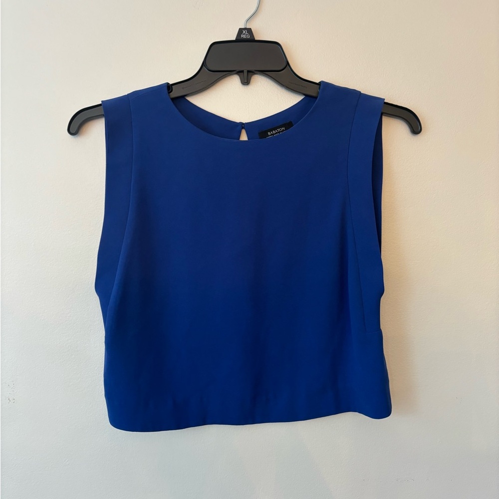 Aritzia Babaton Crop Blouse